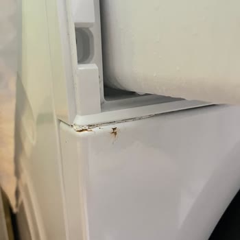 Bosch Çamaşır Makinesinde Paslanma Sorunu