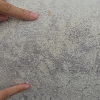 Ender Halı Yıkama Hizmetinde Büyük Hayal Kırıklığı