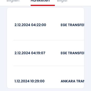 Kargo Teslimatında Yaşanan Gecikme Ve Müşteri Memnuniyetsizliği