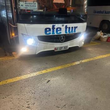 Efe Tur'da Alerji Tehlikesi Ve İhmal