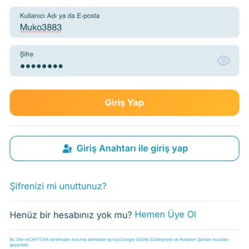 Hesabım Kilitlendi, Paramı Alamıyorum