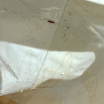 Migros'ta Satılan Mısır Ürününde Böcek Sorunu
