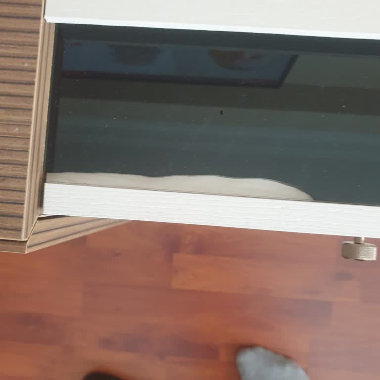 Kırık Ürün Ve İlgisiz Hizmet: Çözüm Bekleyen Müşteri