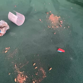 Ozmo Çikolatalarında Kurt Sorunu