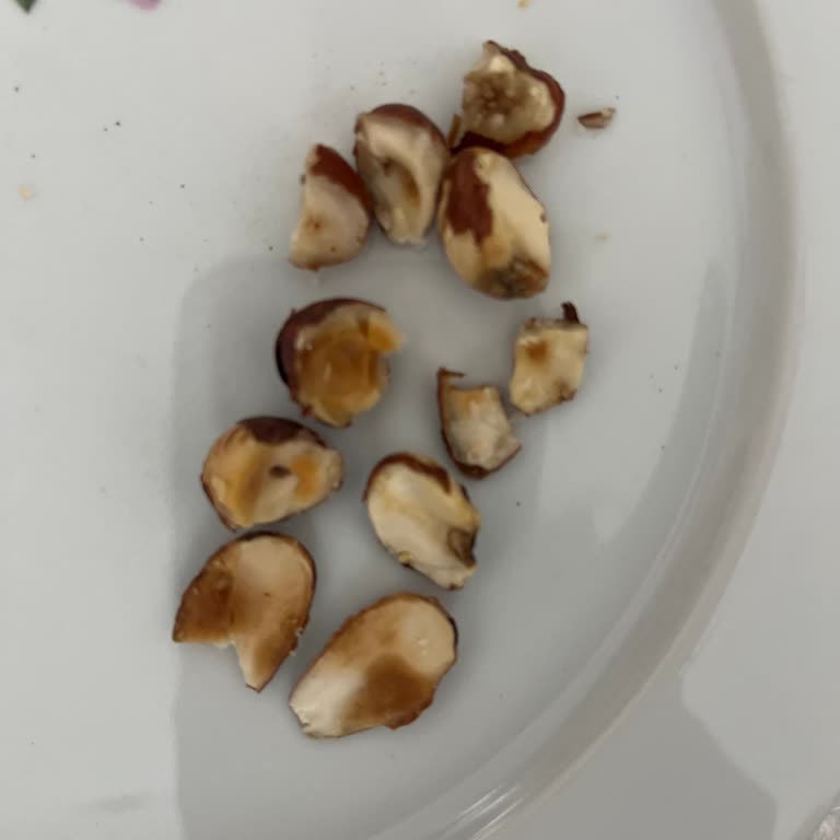 Online Çiftçi Çürük Fındıklar Ve Hayal Kırıklığı