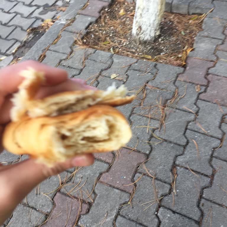 Marketten Alınan Kruvasan Ürünlerinde Kalite Sorunu