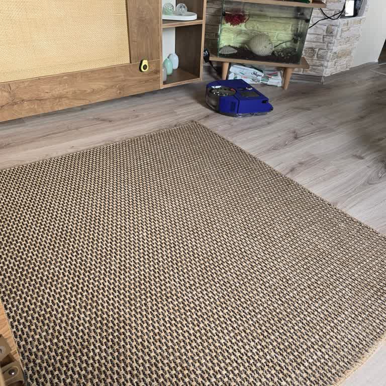 Dyson Robot Süpürge: Fiyatına Değmeyen Hayal Kırıklığı