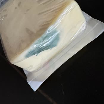 Torku Kaşar Peynirinin Erken Küflenmesi