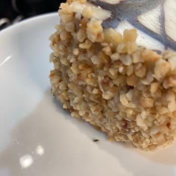 Penguen Cafe'de Böcekli Kek Ve Kaba Davranış