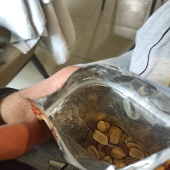 Çerezya Kuruyemişte Örümcek Ağı Şoku