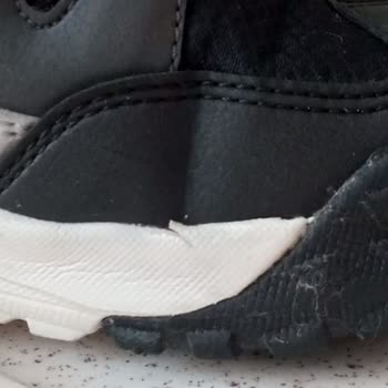 5 Günde Deforme Olan Ayakkabı Ve Vicco'nun İlgisizliği