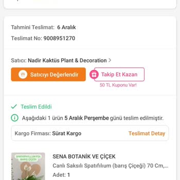 Trendyol Kurumuş Ve Küçük Gelen Barış Çiçeği Hayal Kırıklığı