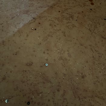 Elbisenin Kalitesi Ve Fiyatı Hayal Kırıklığı Yarattı