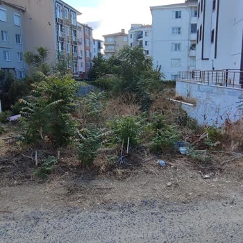 DSİ | Devlet Su İşleri Arsam İmarlı 5 Senedir Bekliyorum