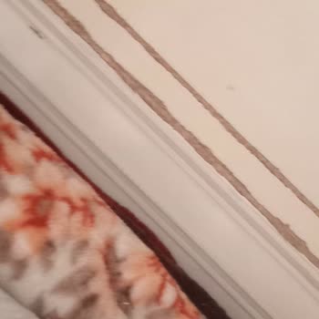 Kalitesiz Ürün Ve Yetersiz Müşteri Hizmetleri