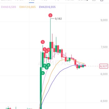 Mexc Yanlış İşlem Zamanlaması Yüzünden Likit Olma Sorunu