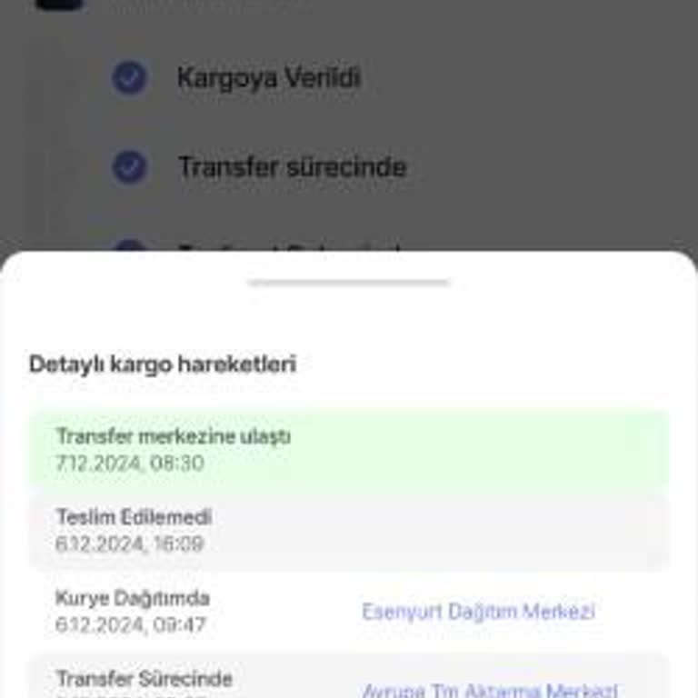Kargo Teslimatında Yaşanan Sorunlar Ve Müşteri Hizmetleri İlgisizliği