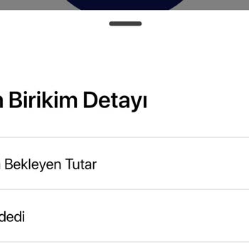 BES Hesabındaki Ödeme İşlemi Gecikmesi