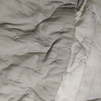 Yanlış Ürün Teslimatı Ve İade Sorunu