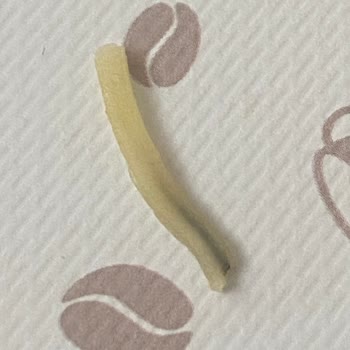 İndomie Noodle İçinden Çıkan Gizemli Nesneler