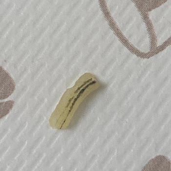 İndomie Noodle İçinden Çıkan Gizemli Nesneler