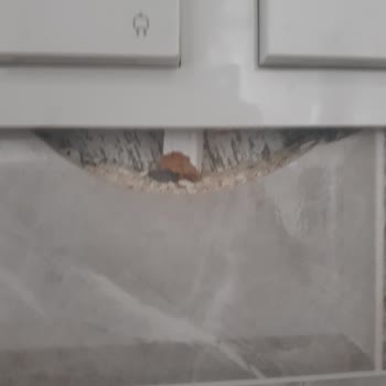 Akçay İnşaat Antalya Konut Alımında Yaşananlar