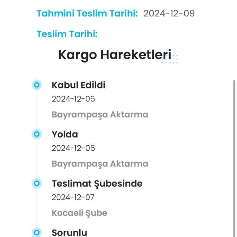 Teslim Edilmeyen Kargo Sorunu