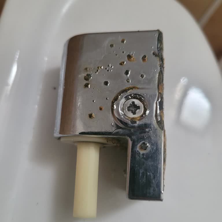 Creavit Klozet Kapağının Dayanıksız Menteşesi