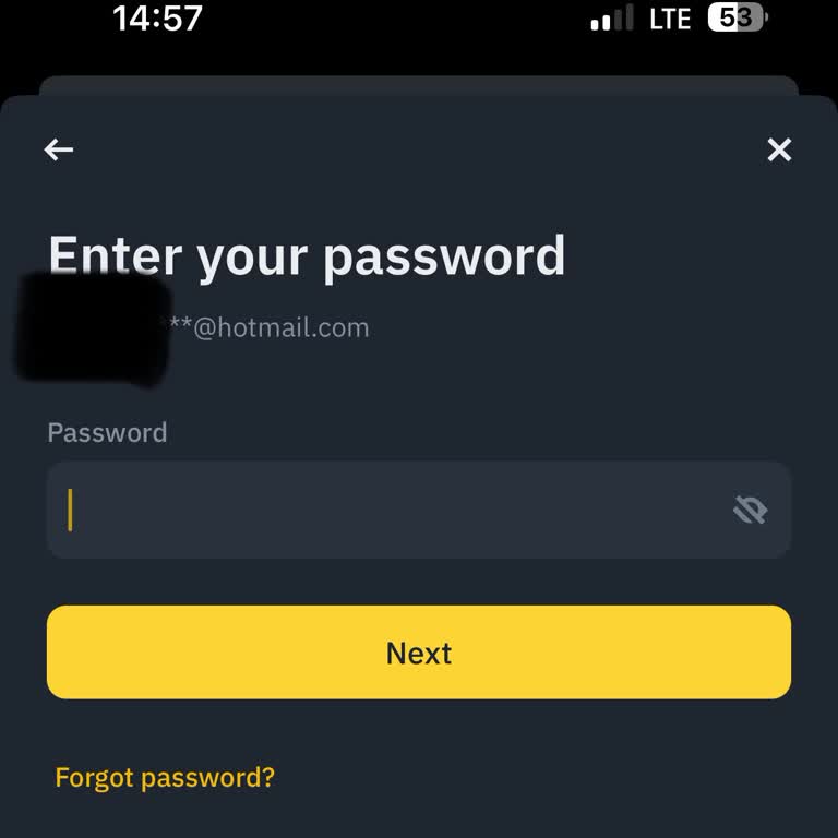 Binance Giriş Sorunu Ve Şifre Alma Problemi
