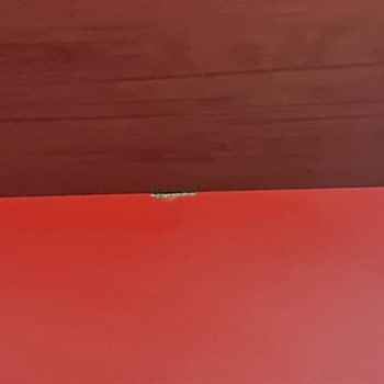 Eksik Parçalar Ve Yetersiz Servis: Caploonba Adana Şubesi Deneyimi