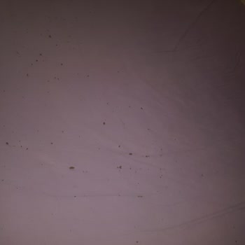 Migros Polar Battaniye Fiyasko