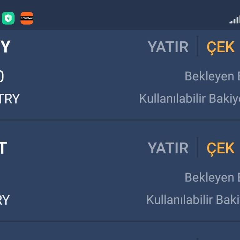 Bitexen'de Ani Delist Mağduriyeti