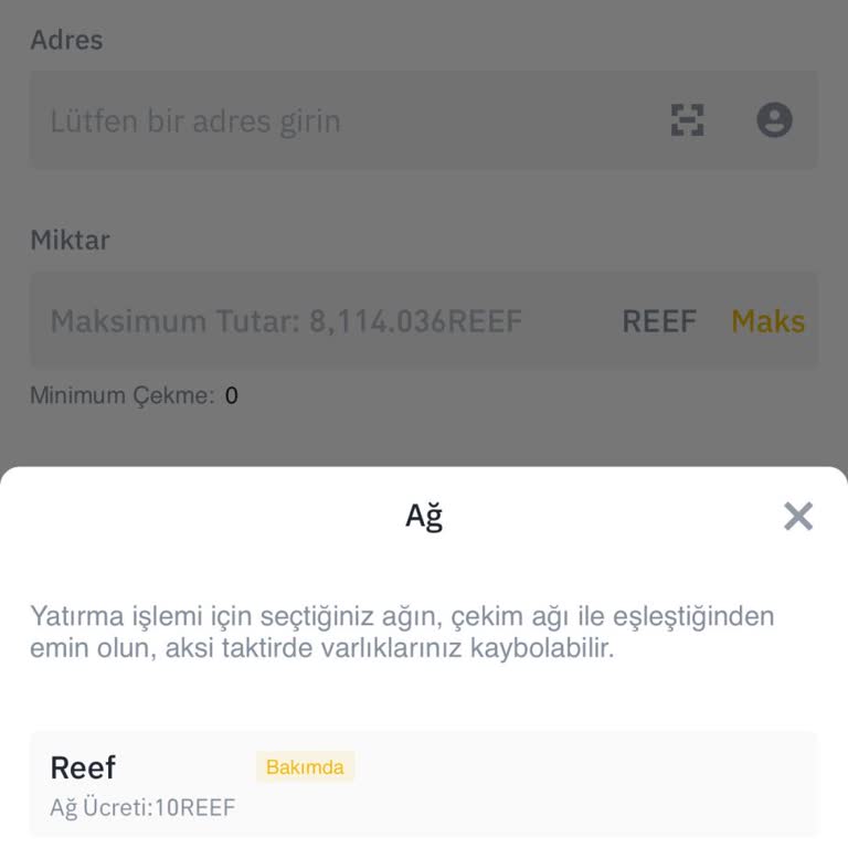 Binance TR'de Reef Coin Çekim Sorunu