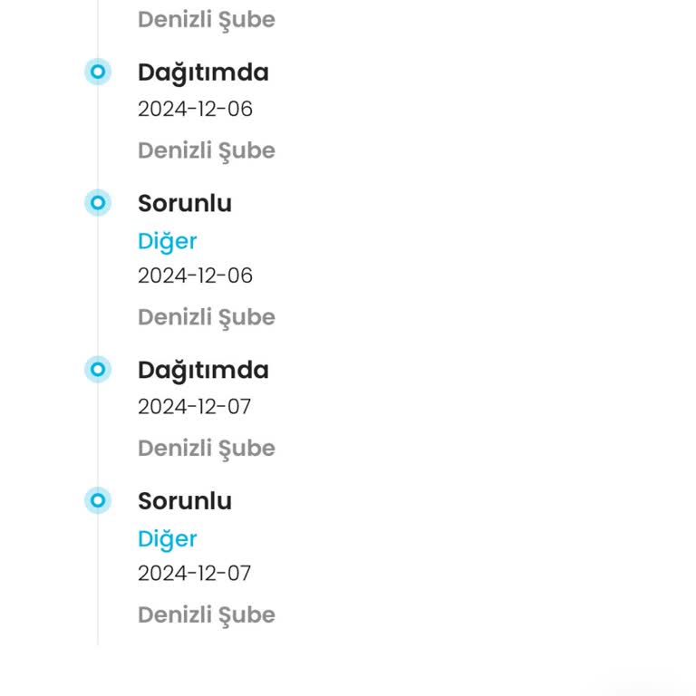 Kargo Teslimatında Sürekli Gecikme Sorunu