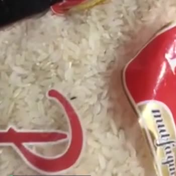 Hünkar Pirinç İçinde Örümcek
