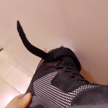 Lumberjack Ayakkabıda Kalite Sorunu Ve İade Reddi