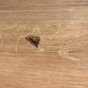 Dekorex'in Özensiz Paketleme Ve Hasarlı Ürün Sorunu