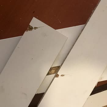 Dekorex'in Özensiz Paketleme Ve Hasarlı Ürün Sorunu