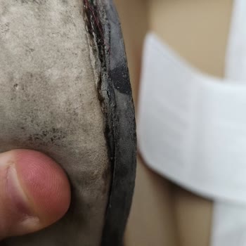 FLO'dan Aldığım Ayakkabının Kalitesizliği