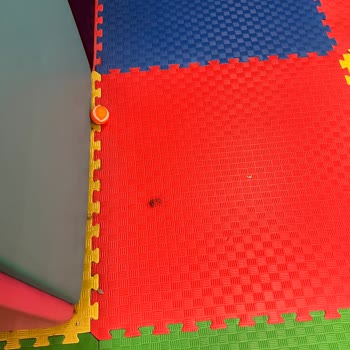 Star City Oyun Parkı Hijyen Sorunu