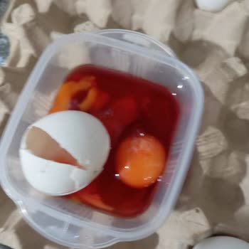 Kırık Yumurtalar Ve Sağlık Tehlikesi