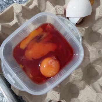 Kırık Yumurtalar Ve Sağlık Tehlikesi