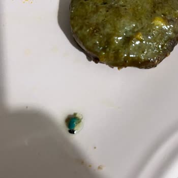 Köftenin İçinden Çıkan Yeşil Madde