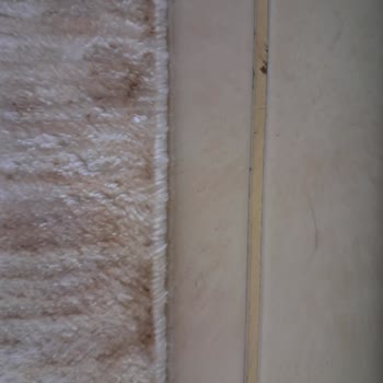 Halı Yıkama Hizmetinde Hayal Kırıklığı