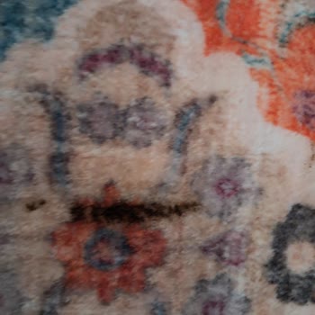 Halı Yıkama Hizmetinde Hayal Kırıklığı