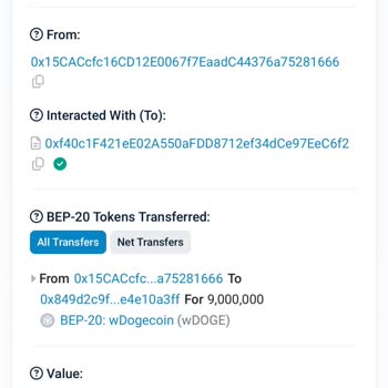 Yanlış Cüzdan Adresiyle Kaybolan Coinler