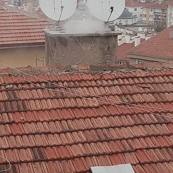 Ankara Çankaya'da Çevre Kirliliği Ve İlgisizlik