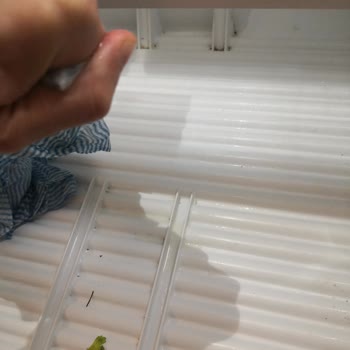 Bosch Buzdolabında Hayal Kırıklığı: Sebze Ünitesi Sorunu