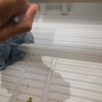 Bosch Buzdolabında Hayal Kırıklığı: Sebze Ünitesi Sorunu