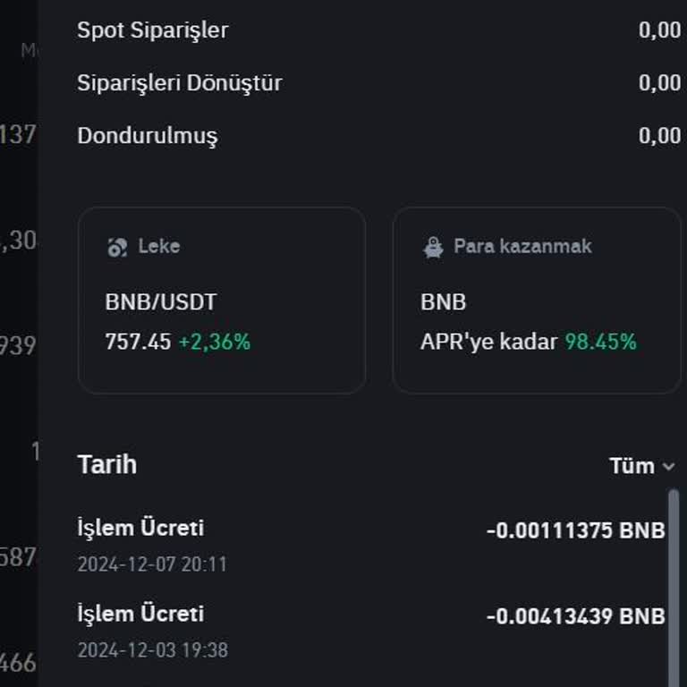 Binance'te Gizemli BNB Kayıpları